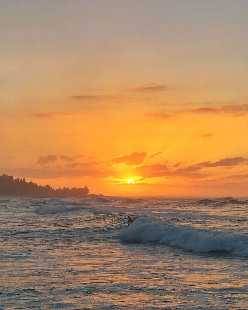 surfer hawaii