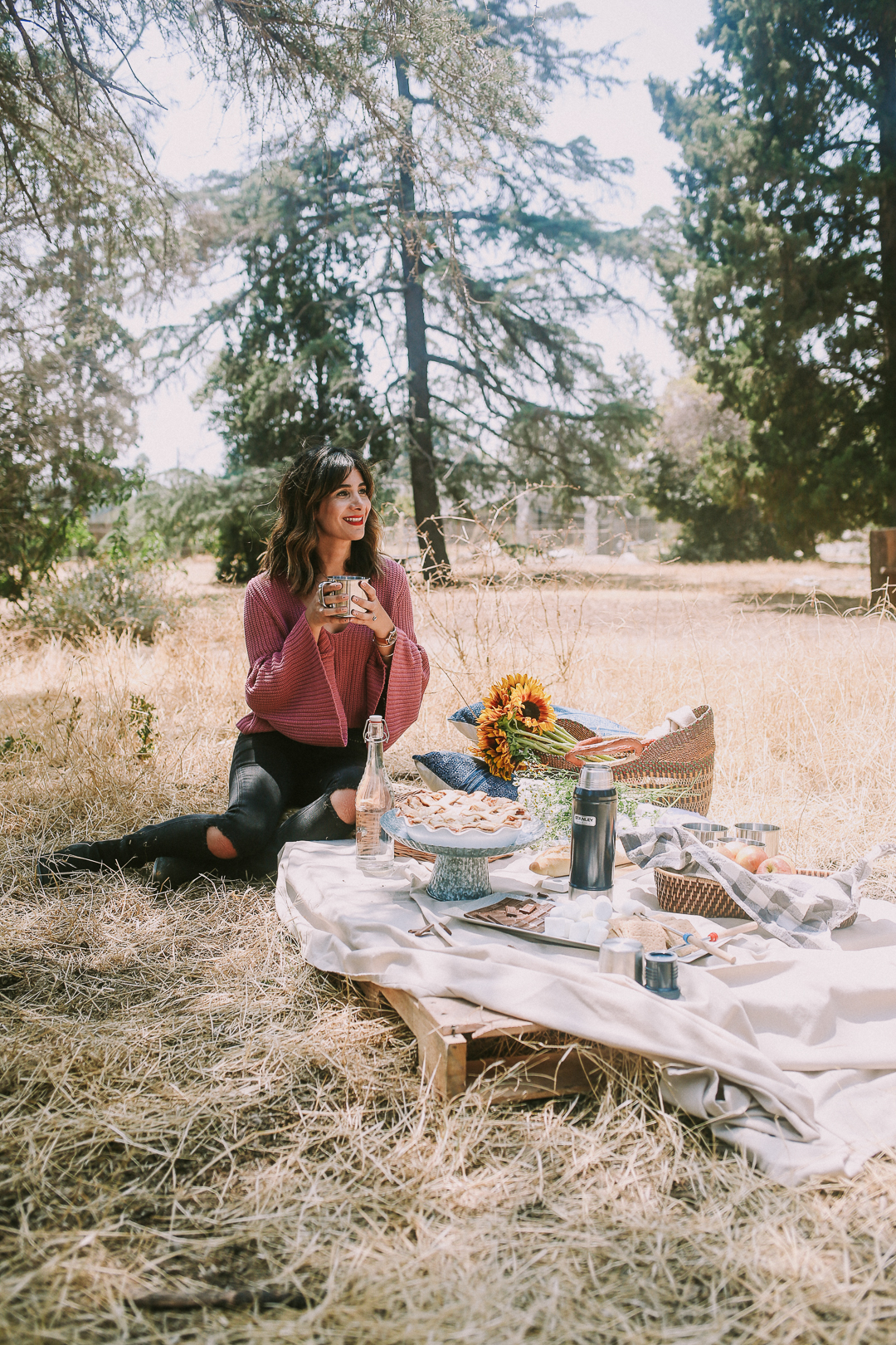 how to style a fall picnic ideas
